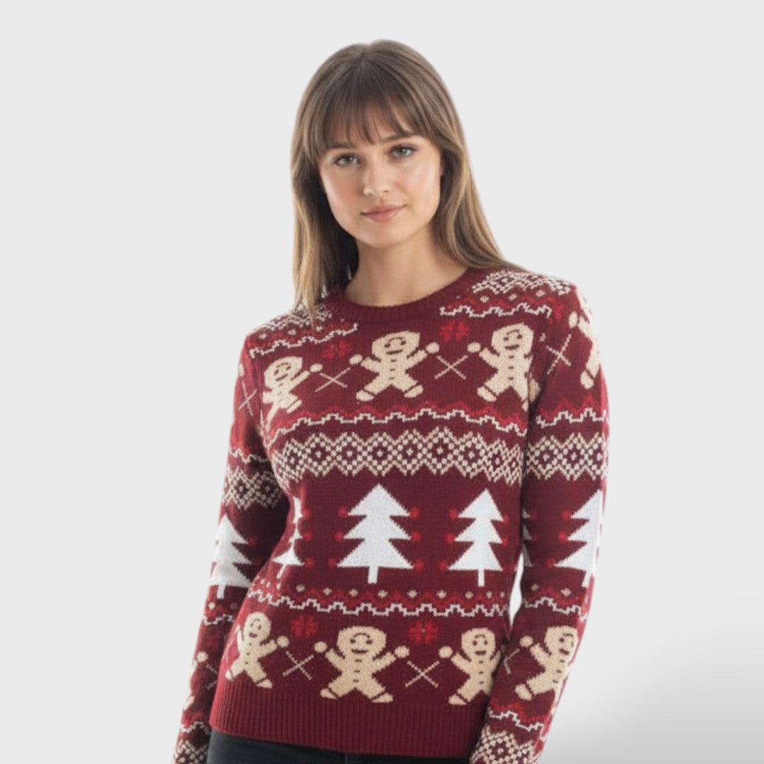 Pull de Noël féminin élégant et confortable